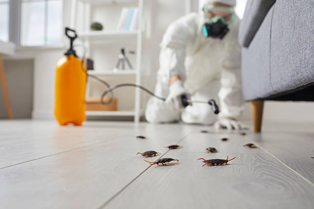 Commercial Kitchen Cockroach Control in Hudson